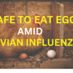 HIN1-Avian Influenza and Egg Safety.