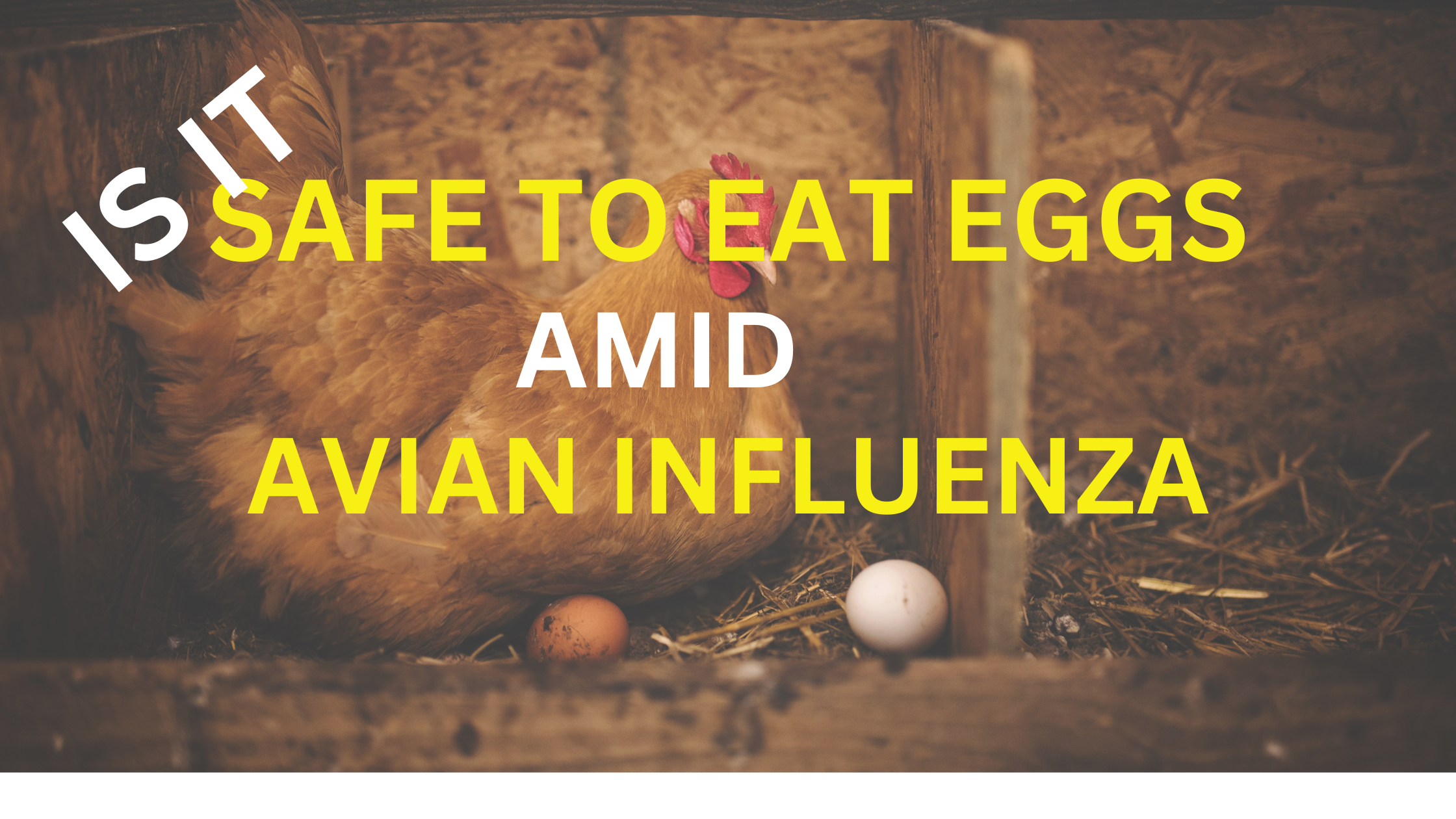 HIN1-Avian Influenza and Egg Safety.